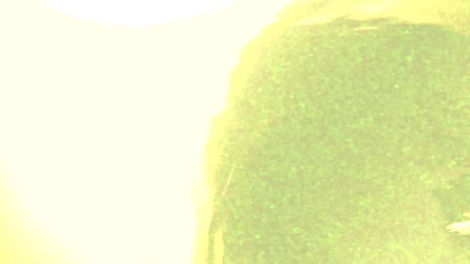 full verse balou clip 2
